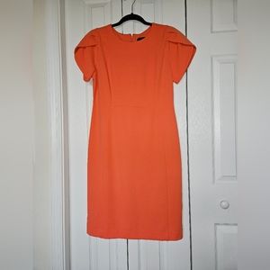 Tulip Sleeve Ann Taylor Factory Sheath Dress Size 6